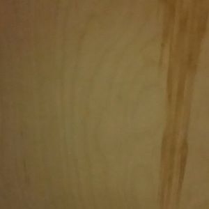 Meet your Posher, Hayden