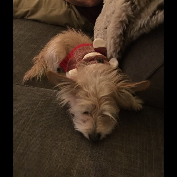 Meet your Posher, Bain - Picture 4 of 4