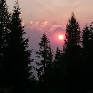 Meet your Posher, Terri