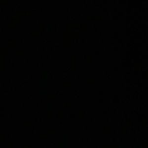 Meet your Posher, Taryn