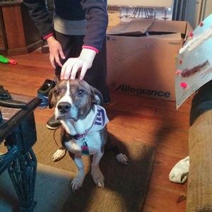 Meet your Posher, Nicole