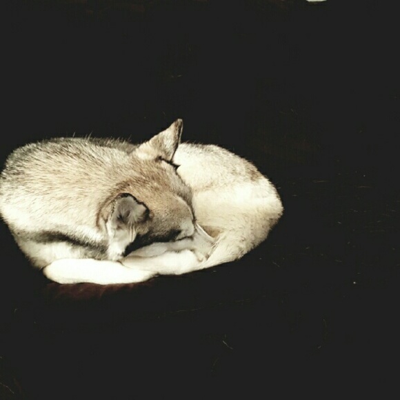 Just Me :) - Picture 8 of 11