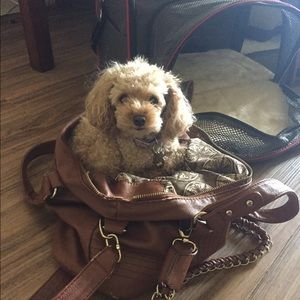 Meet your Posher, Teamy