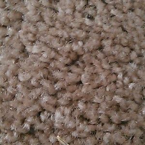 Meet your Posher, Dajona