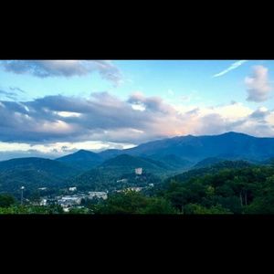 Meet your Posher, Denise