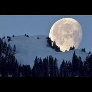 Meet your Posher, Silvia