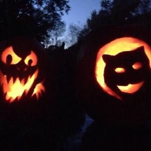 Meet your Posher, Polly