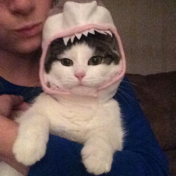 Meet your Posher, Michaela