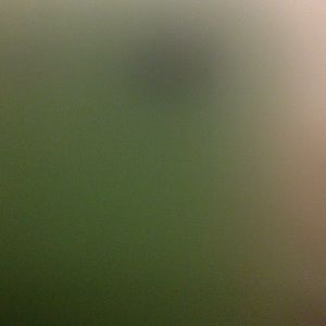 Meet your Posher, Breanna