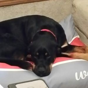 Meet your Posher, Leslie