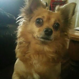 Meet your Posher, Kenneth