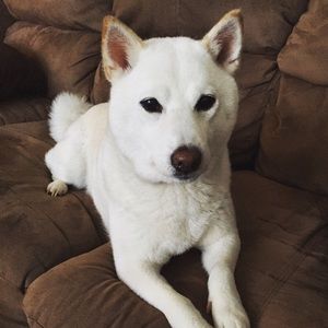 Meet your Posher, Naomi