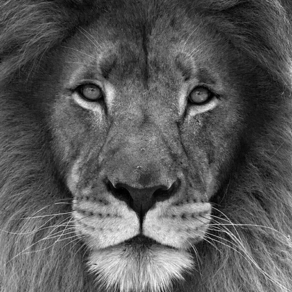 Meet your Posher, Michaela - Picture 1 of 1