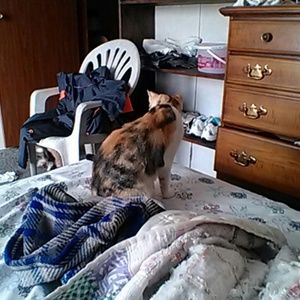 Meet your Posher, Treva