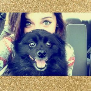 Meet your Posher, Karlee