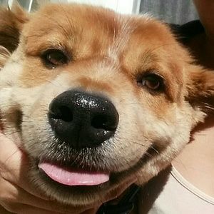 Meet your Posher, Isabella