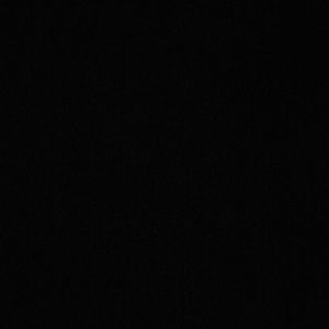 Meet your Posher, Karlie