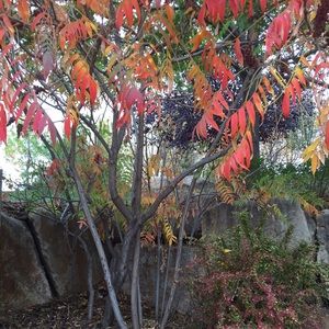 Meet your Posher, Ann