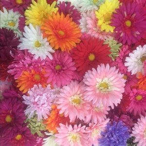 Meet your Posher, Elise