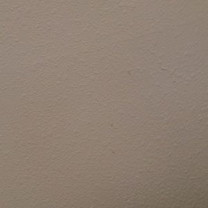 Meet your Posher, Kylee