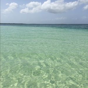 Meet your Posher, Lauryn