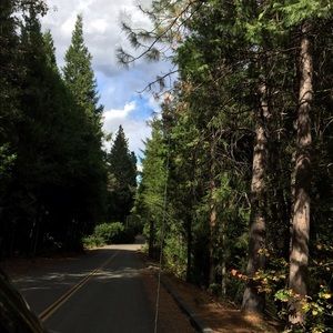 Meet your Posher, Jillian