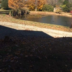 Meet your Posher, Bailey