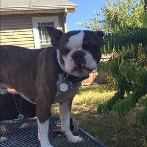 Meet your Posher, Caroline