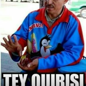 Meet your Posher, Claudia