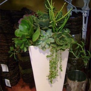 Meet your Posher, Whitney