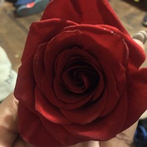 Meet your Posher, Justine