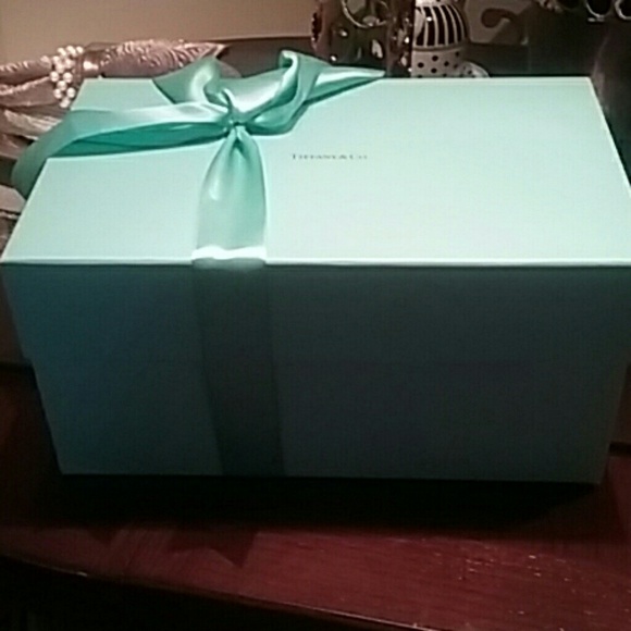 Tiffany & Co. Gift box.