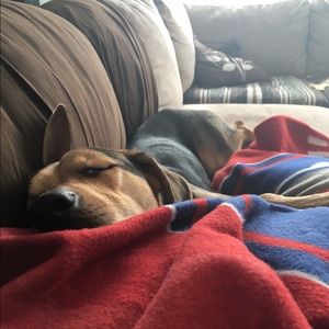 Meet your Posher, Anna