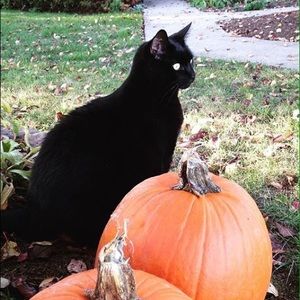 Meet your Posher, Donna