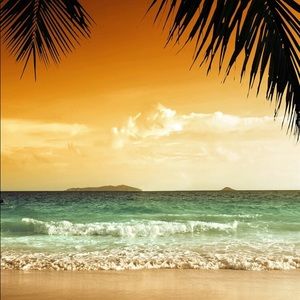 Meet your Posher, Arianne