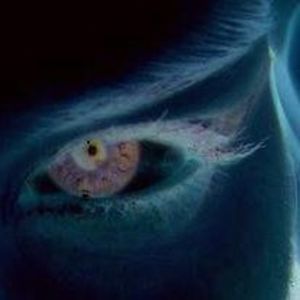 Meet your Posher, Jaime