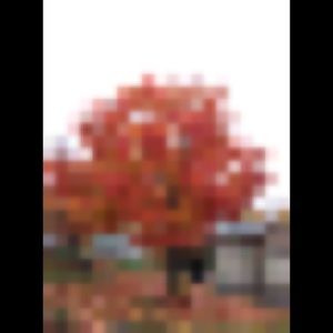 Meet your Posher, Kari