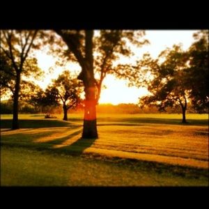 Meet your Posher, Ashton