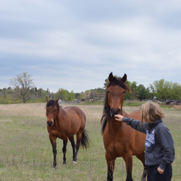 Meet your Posher, Casidi - Picture 1 of 1