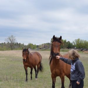 Meet your Posher, Casidi