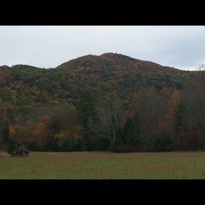 Meet your Posher, Carie