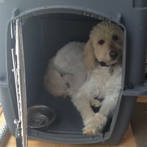 Meet your Posher, Kaitlynne