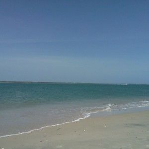 Meet your Posher, Anita