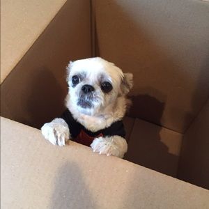 Meet your Posher, Danielle