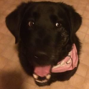 Meet your Posher, Toni