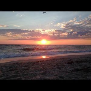 Meet your Posher, Tori