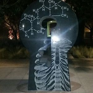 Meet your Posher, Elsa