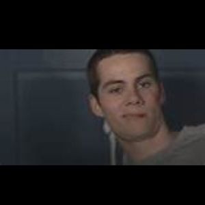 Meet your Posher, Bailey