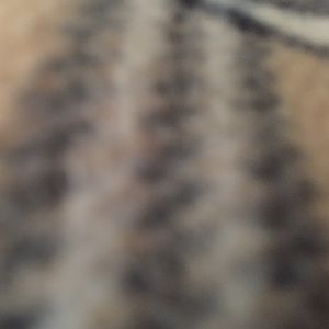 Meet your Posher, Niki