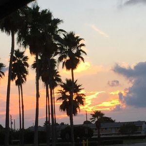 Meet your Posher, Debra